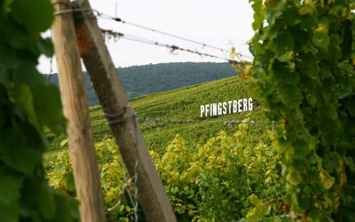 Terroir Alsacien d&rsquo;exception du domaine viticole Haegelin Bernard &agrave; Orschwihr entre Guebwiller et Rouffach Wittenheim