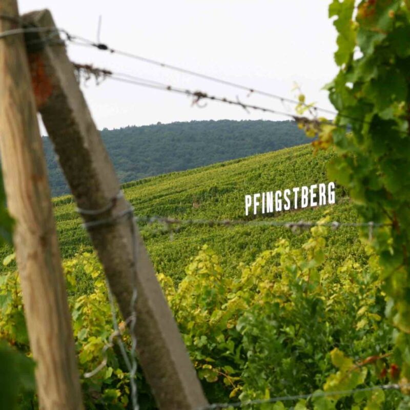 IMG_1484 800X800 | Vins d'Alsace Bernard Haegelin Orschwihr : un terroir riche et ancien Wittenheim