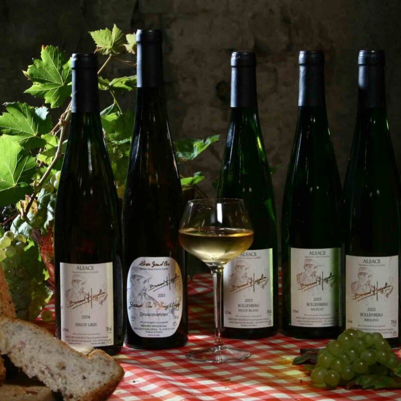 IMG_1580 800X800 | Vins d'Alsace Bernard Haegelin La biodynamie pour nos cépages et Grands Crus Mulhouse
