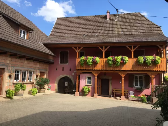 Visite &agrave; 360&deg; Colmar