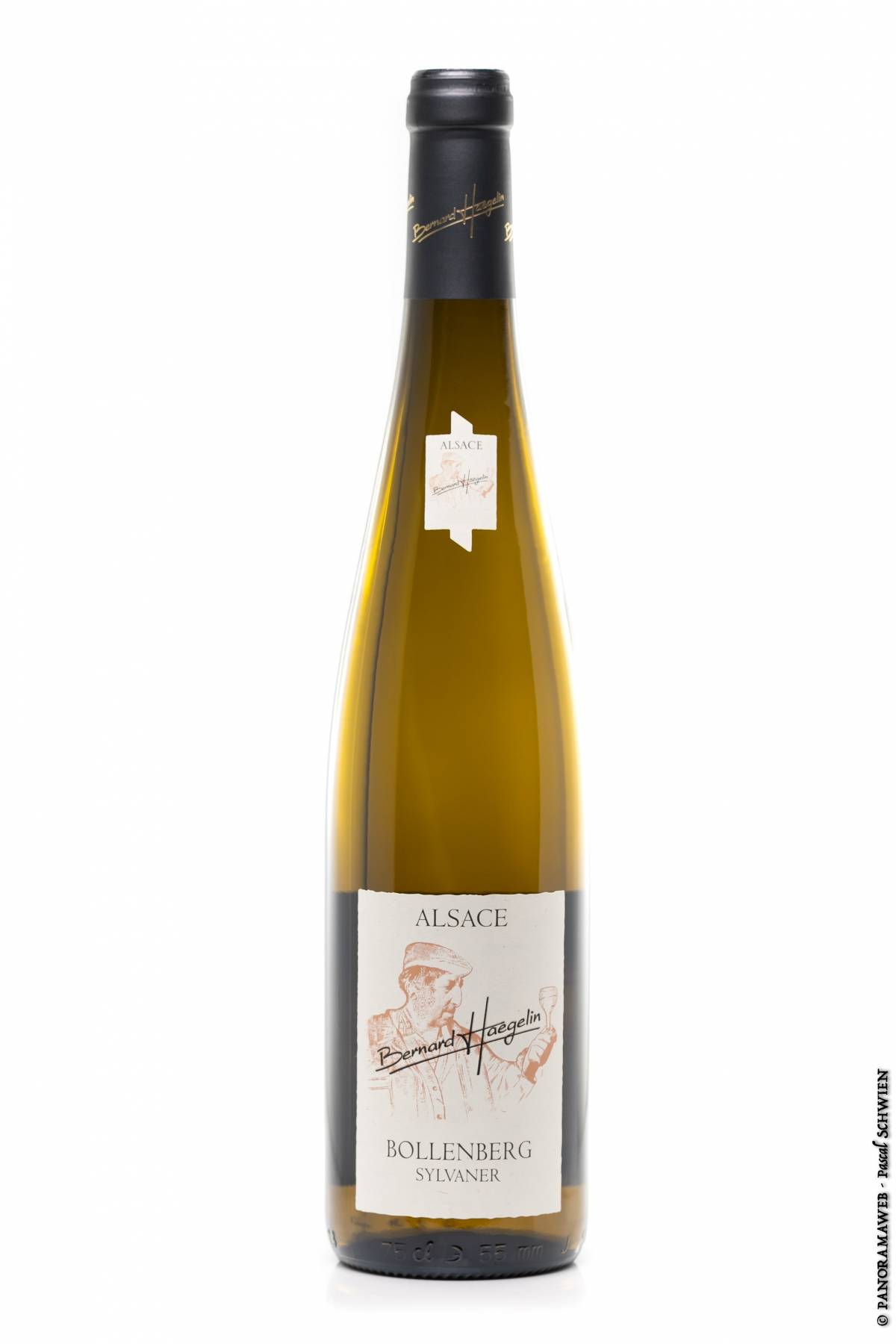 SYLVANER BOLLENBERG R 600X900 | Vins d'Alsace Bernard Haegelin Sylvaner BOLLENBERG 2022 Pfastatt 0