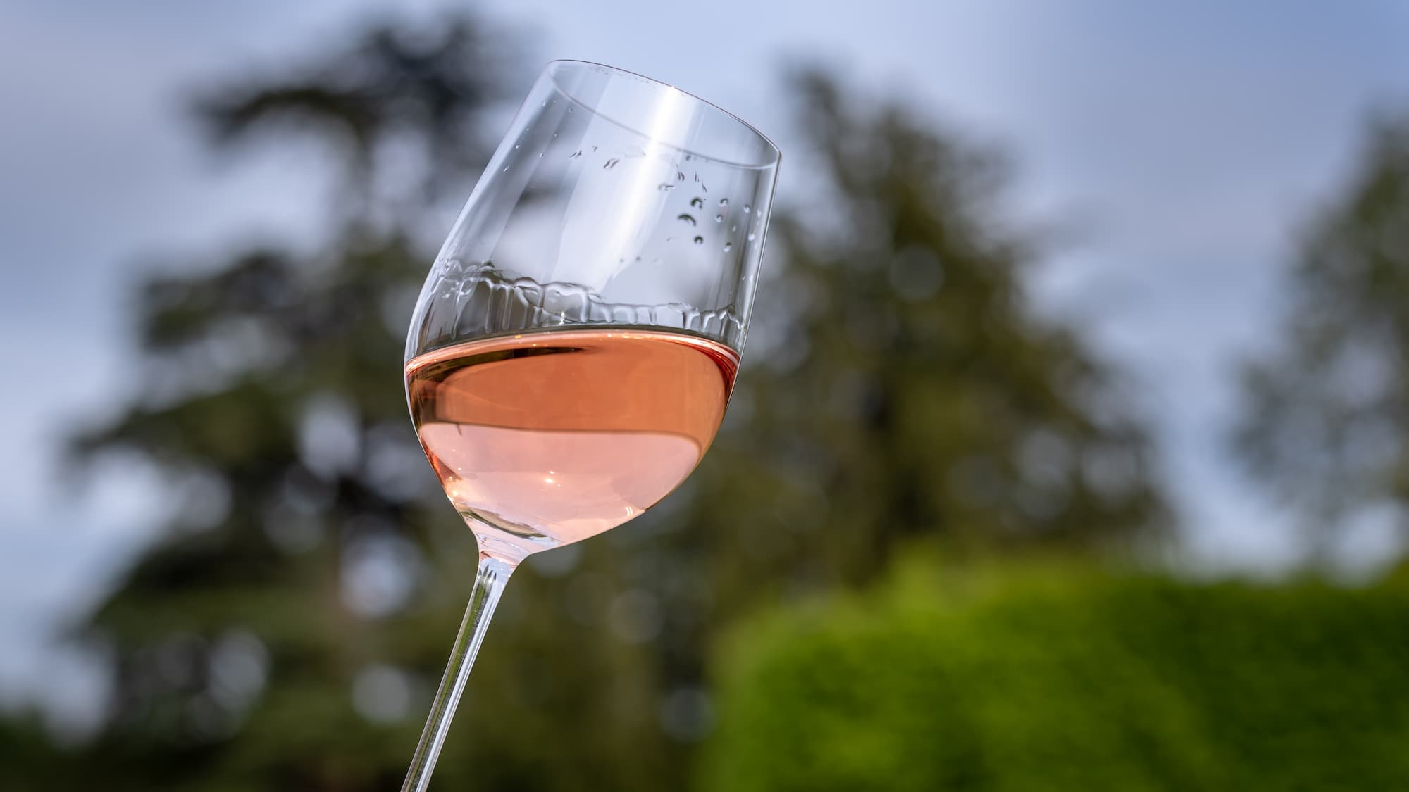 Cr&eacute;mant ros&eacute; ou blanc ? Lequel choisir pour un ap&eacute;ritif de mariage en juin ? Riedisheim