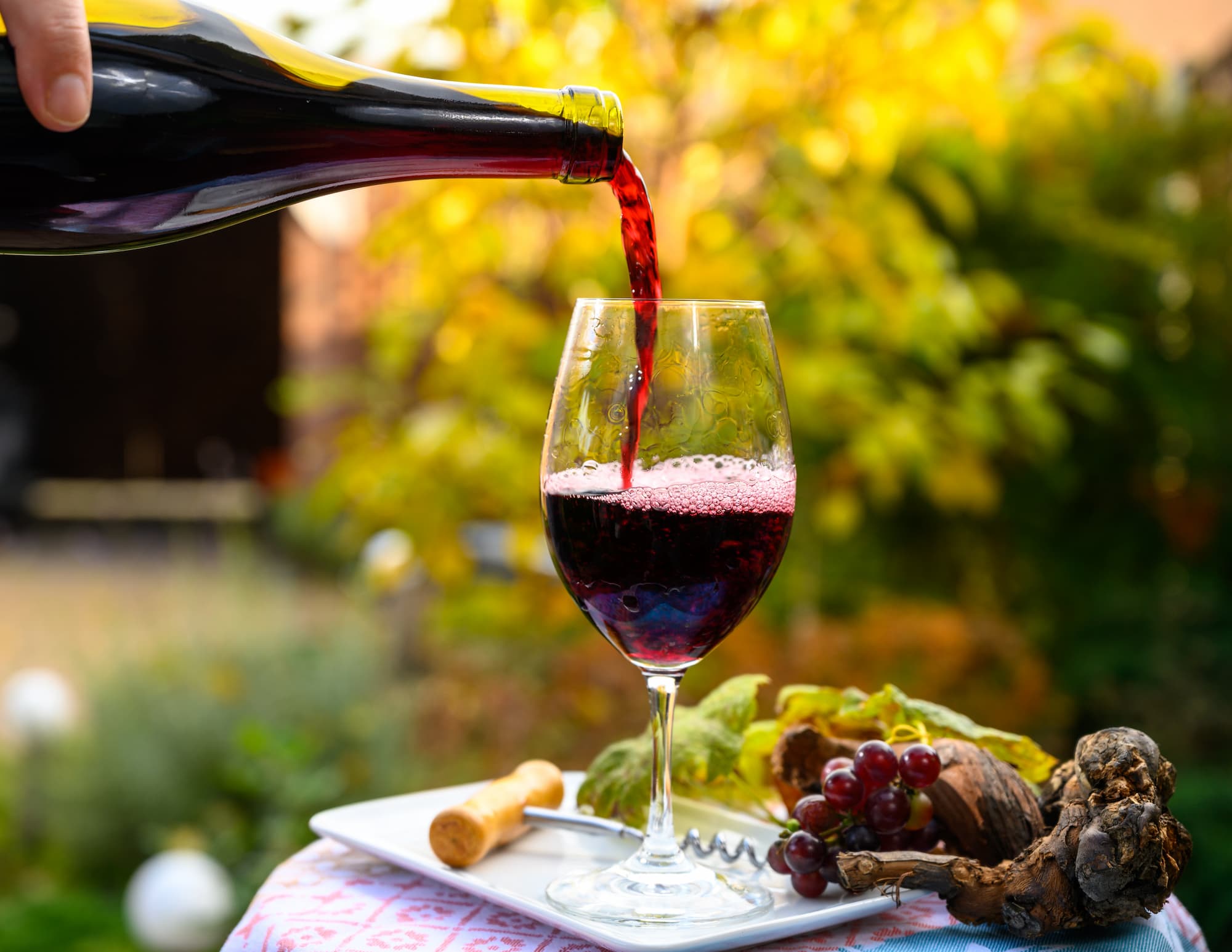 Pinot Noir d’Alsace Ros&eacute; ou Rouge et grillades : un mariage inattendu, mais r&eacute;ussi ? Riedisheim
